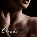 rice/Cicada（限定盤）