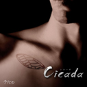rice/Cicada（通常盤）