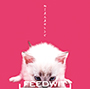 FEEDWIT/ねこまんまのレシピ